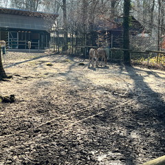 23-02-13 13-53-35 4203